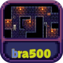 bra500